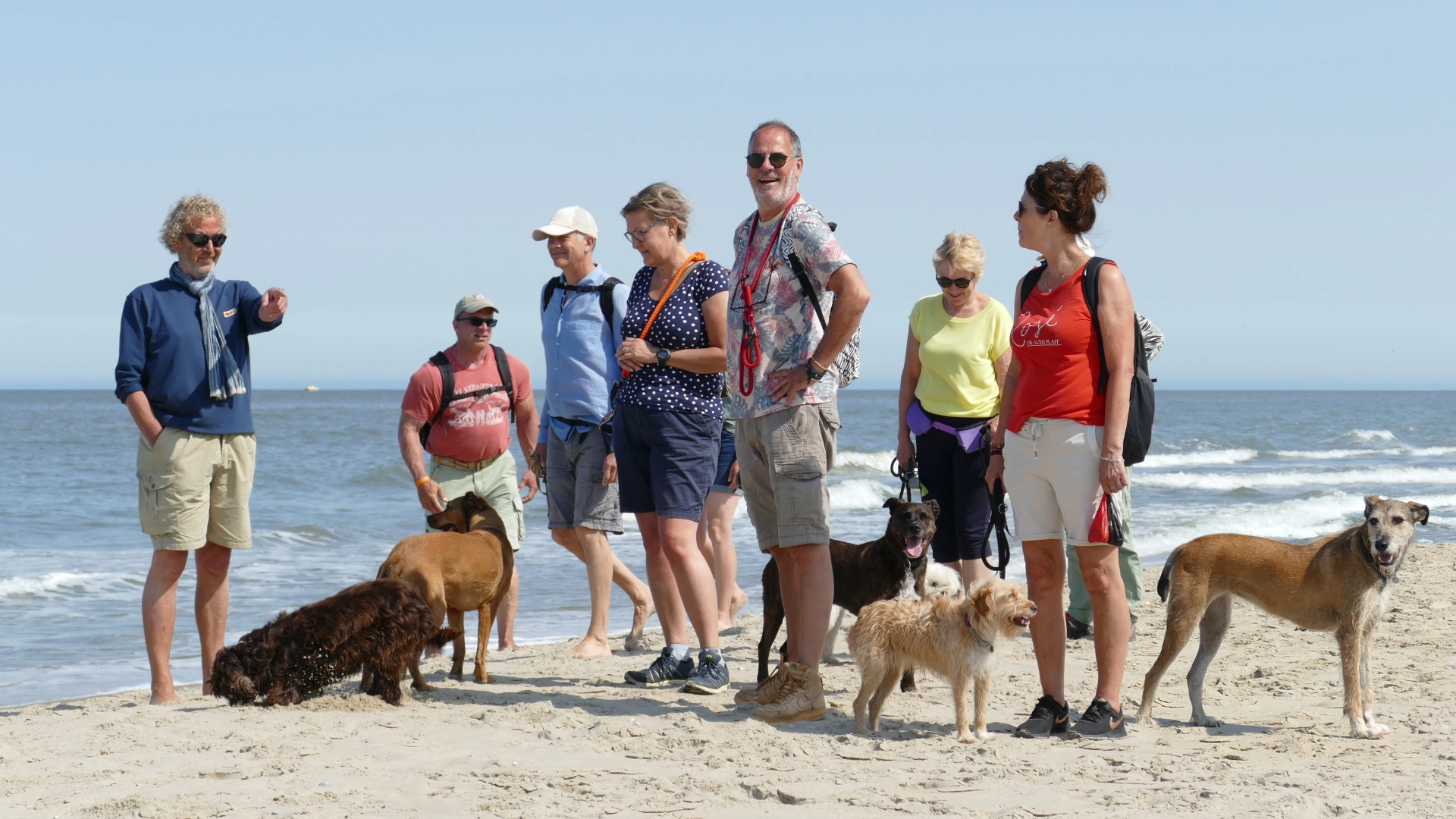 gedragstherapie hond