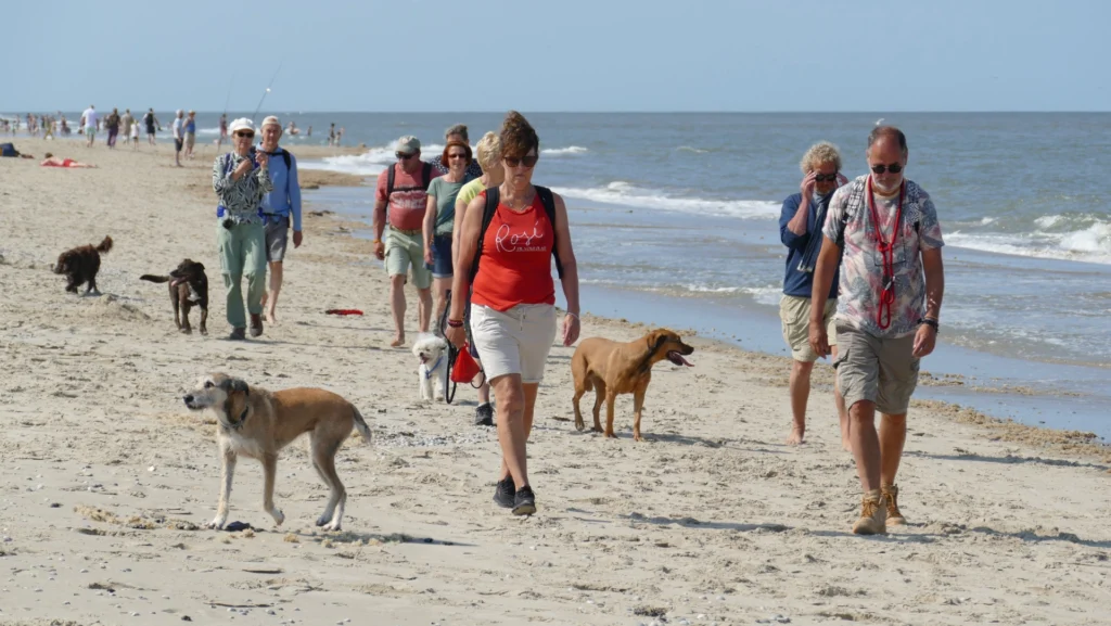 uitwaaiweek texel met hondencoach
